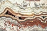 Polished Crazy Lace Agate Slab - Mexico #222133-1